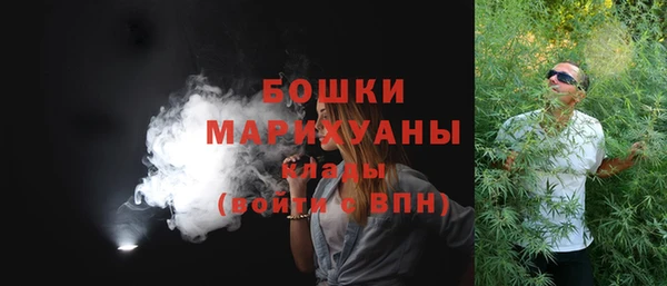 прущие грибы Кулебаки