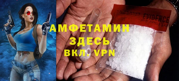 прущие грибы Кулебаки